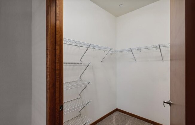 a walk-in closet in the master bedroom with a closet door and shelves