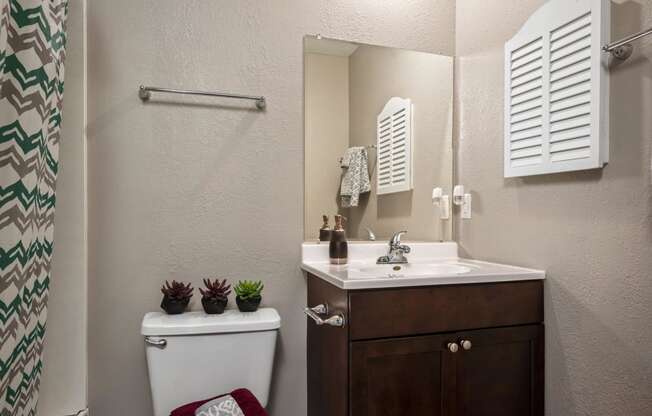 Bathroom With Espresso Vanity & Wall Medicine Cabinet