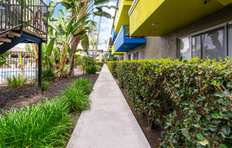 a walkway between two buildings with plants on either side