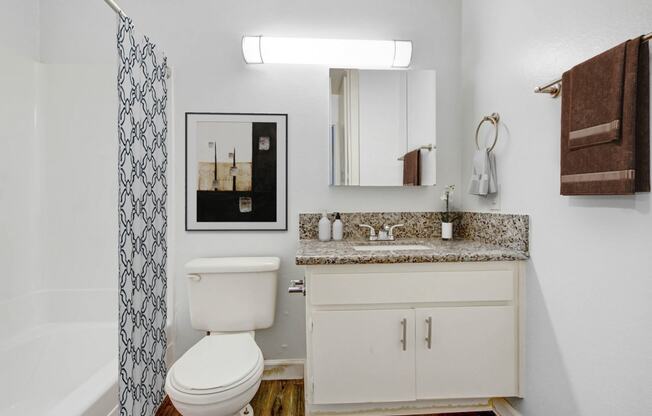 a bathroom with a toilet and a sink and a shower