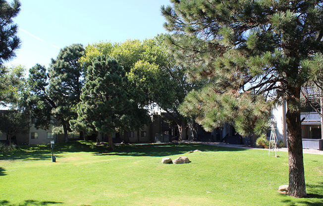 a large grassy area with trees in the background