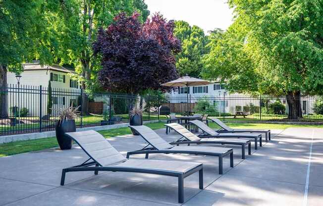 A row of sun loungers are arranged on a concrete surface.