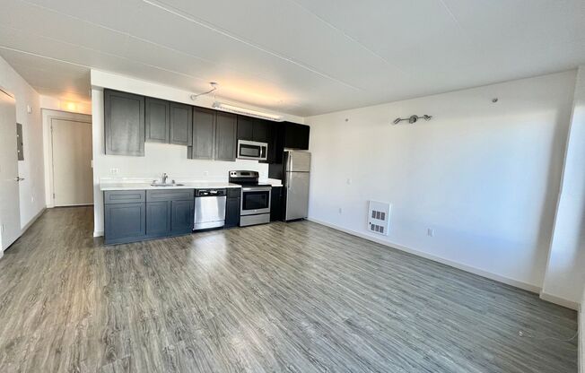 1 bed, 1 bath, 575 sqft, $3,525, Unit 480 Potrero Ave, Unit 506