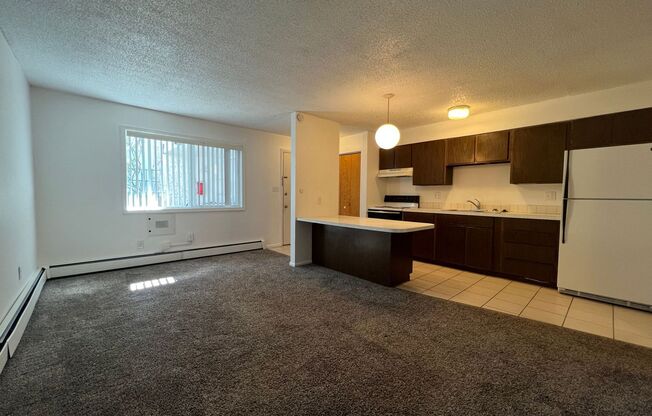 1 bed, 1 bath, 500 sqft, $995, Unit 12