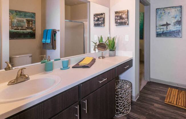 a bathroom with a sink and a mirror