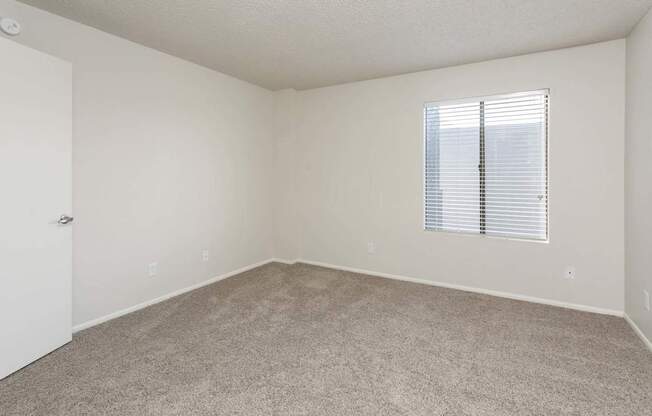 A room with a carpeted floor and a window with blinds.