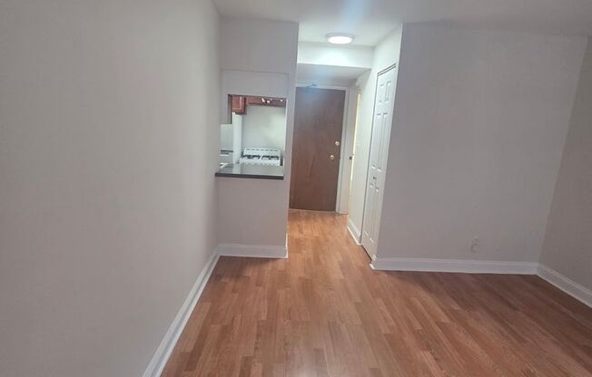 Studio, 1 bath, $1,250, Unit 177