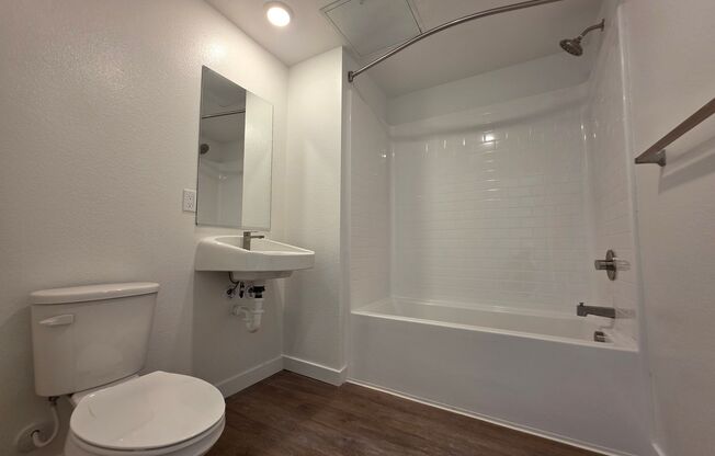 Studio, 1 bath, 327 sqft, $1,790, Unit 308