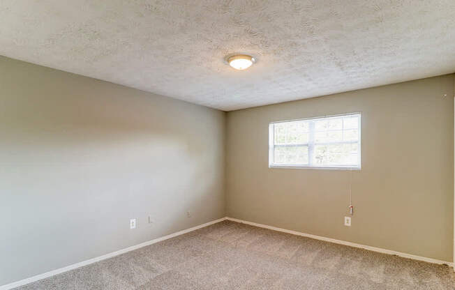 A room with a window and a carpeted floor.