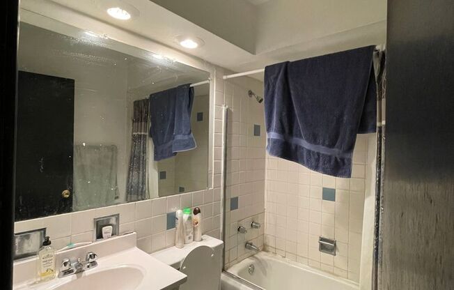 Studio, 1 bath, 390 sqft, $1,400, Unit 521-209