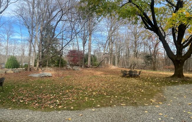 1 bed, 1 bath, 880 sqft, $3,200, Unit Wilton, CT-Amazing 1 Bedroom Suite-Situated on 2 acres