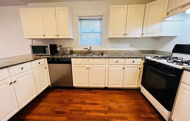 1756 W. Roscoe, Unit 1