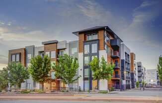 exterior of 644 City Station with trees in the front