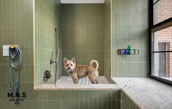 Studio, 1 bath, $3,200, Unit C01