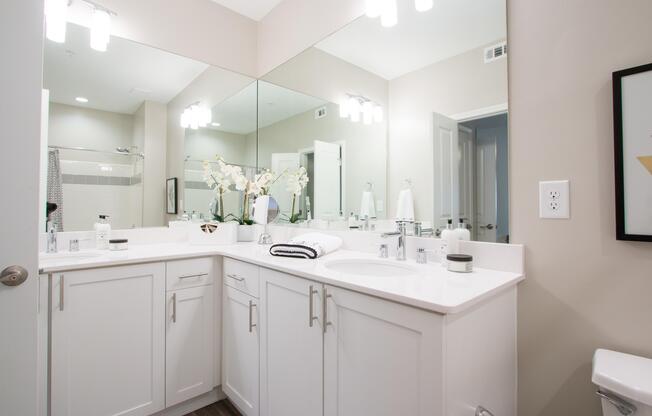 Beautiful vanity in master bath