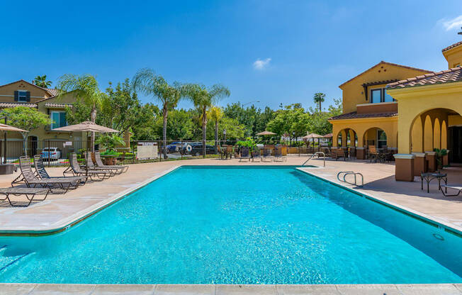 A large swimming pool in a sunny backyard.