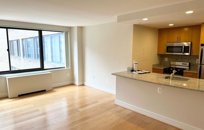 Studio, 1 bath, 440 sqft, $2,500, Unit 0719