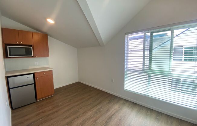 Studio, 1 bath, 175 sqft, $1,095, Unit 4519