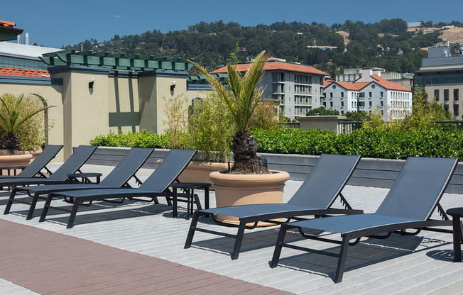 Lounge in the sun on the rooftop deck with chaise lounges and social spaces