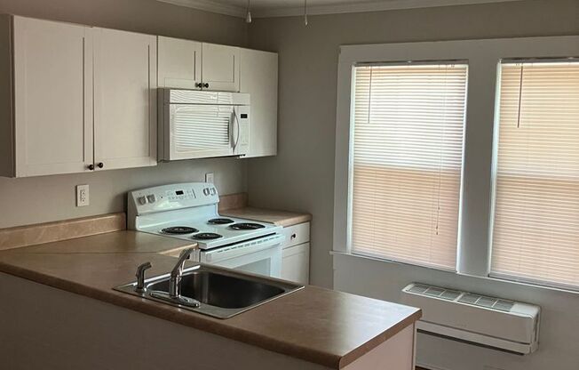 1 bed, 1 bath, $1,100