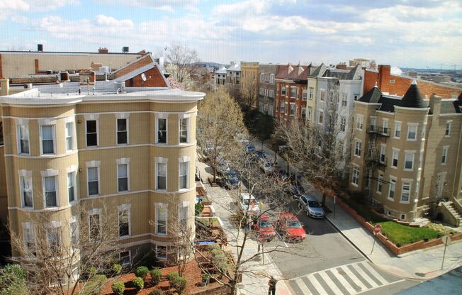 1 bed, 1 bath, 500 sqft, $2,450, Unit 302