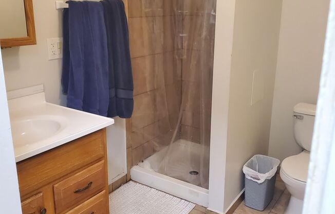 Studio, 1 bath, 164 sqft, $900, Unit 03A