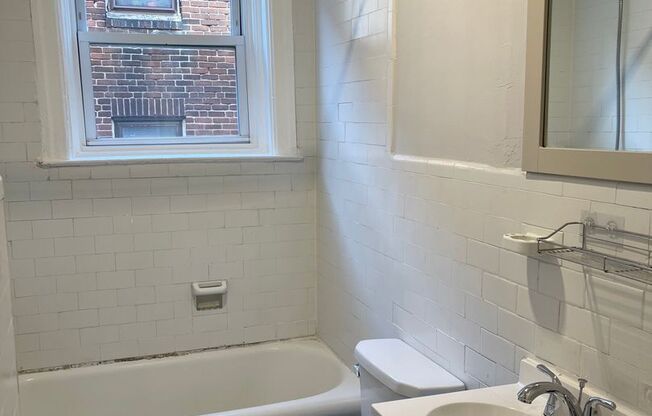 Studio, 1 bath, 330 sqft, $925, Unit 203