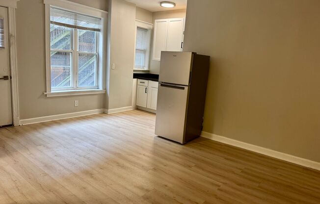 Studio, 1 bath, 300 sqft, $1,095, Unit #210