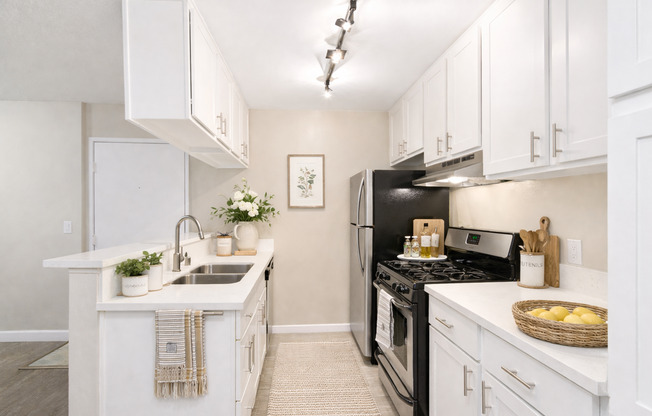1 bed, 1 bath, 520 sqft, $1,875, Unit 207