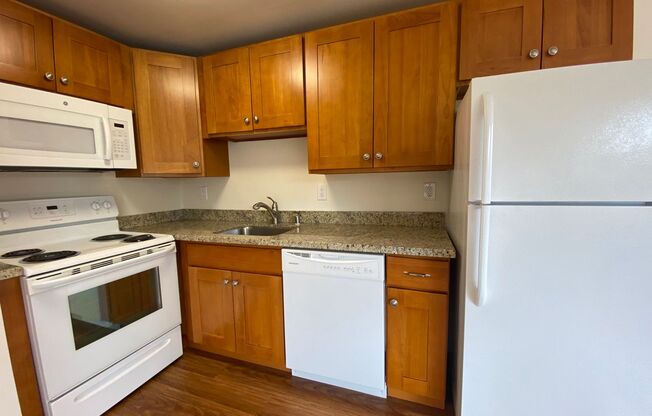 1 bed, 1 bath, 475 sqft, $1,495, Unit 305