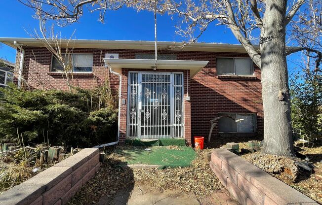 1 bed 1 bath with new wood flooring and paint.
