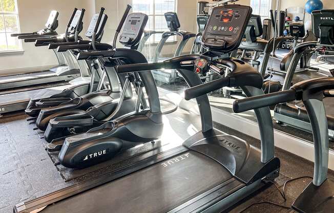 a row of treadmills in a fitness room with windows