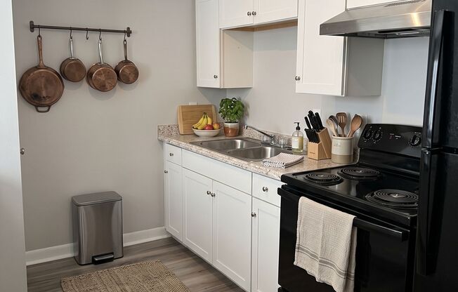 NEWLY RENOVATED - Royal Ridge Apartments