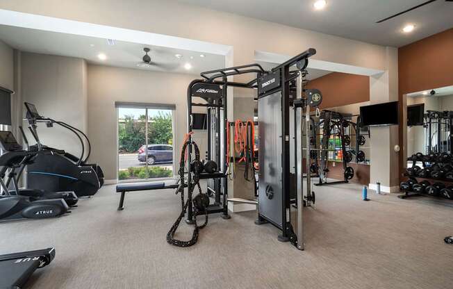 A gym with a variety of equipment including treadmills, weights, and a bench.