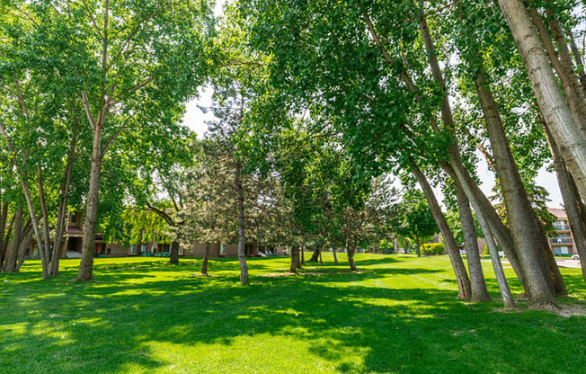 Green Spaces With Mature Trees at Lakeside Village Apartments, Clinton Township MI