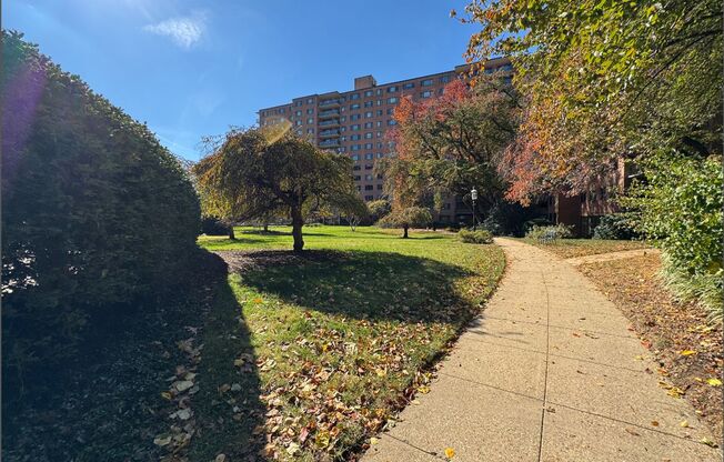 Lovely 1 BR/1 BA Condo in Wesley Heights!