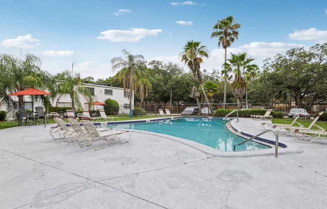 A pool surrounded by palm trees and lounge chairs.
