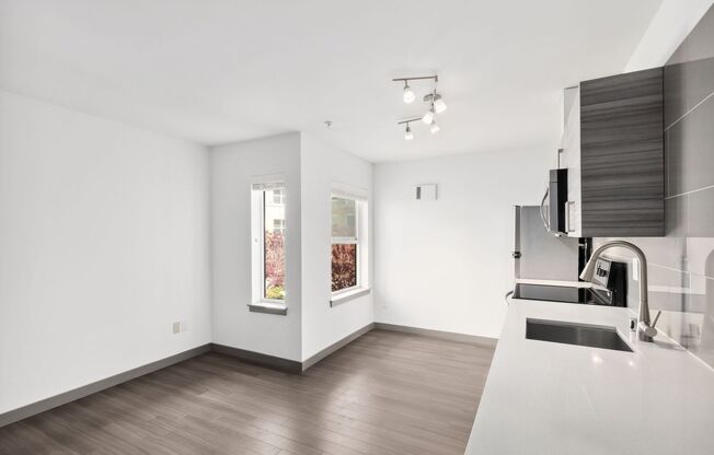 Studio, 1 bath, 380 sqft, $1,695, Unit 215