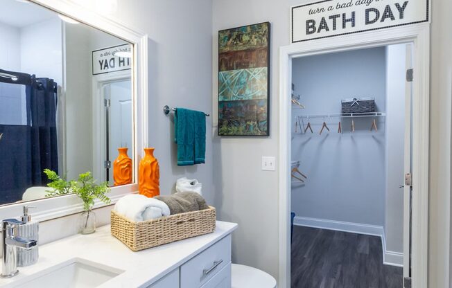 a bathroom with a mirror and a sink and a shower