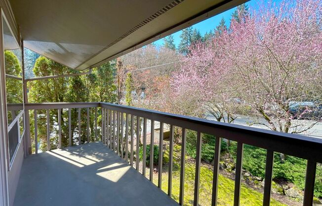 1 bed, 1 bath, 570 sqft, $2,350, Unit 5