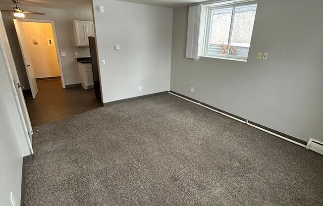 Studio, 1 bath, 406 sqft, $875, Unit 3