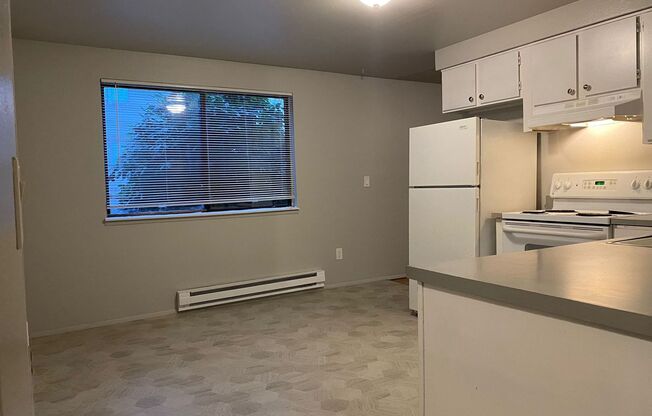 1 bed, 1 bath, 700 sqft, $1,295, Unit 201