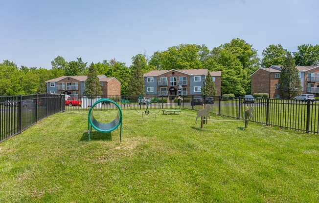 the preserve at ballantyne commons dog park apartments ga