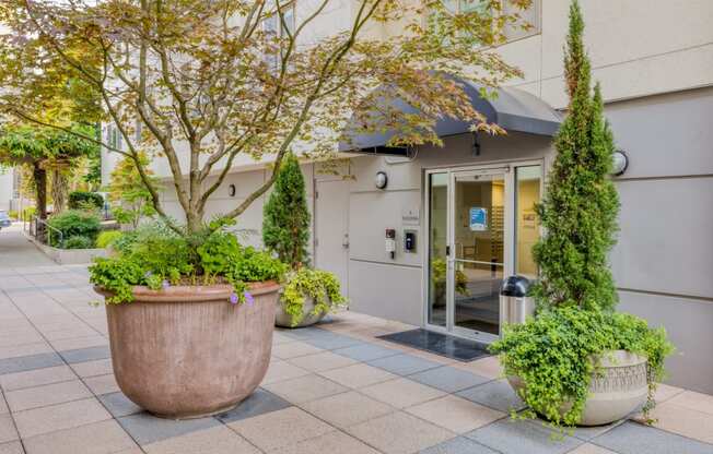 Courtyard views at Tera Apartments