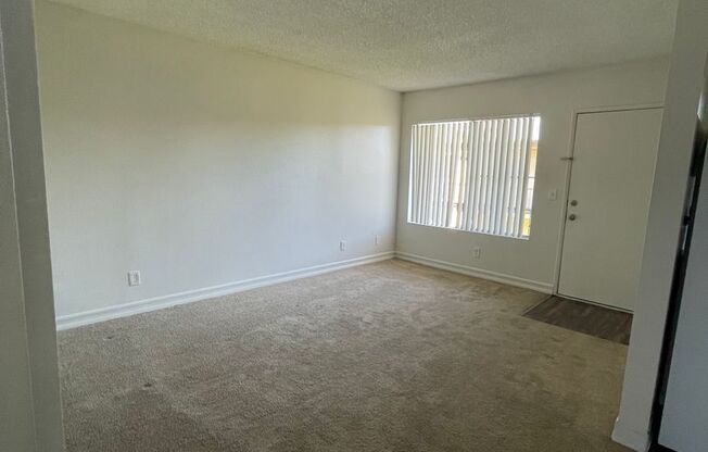 1 bed, 1 bath, 523 sqft, $1,895, Unit 36