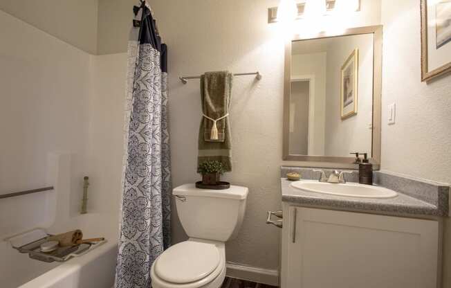 a bathroom with a toilet and a sink and a mirror
