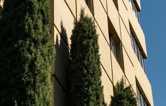 1 bed, 1 bath, 550 sqft, $1,400, Unit 105