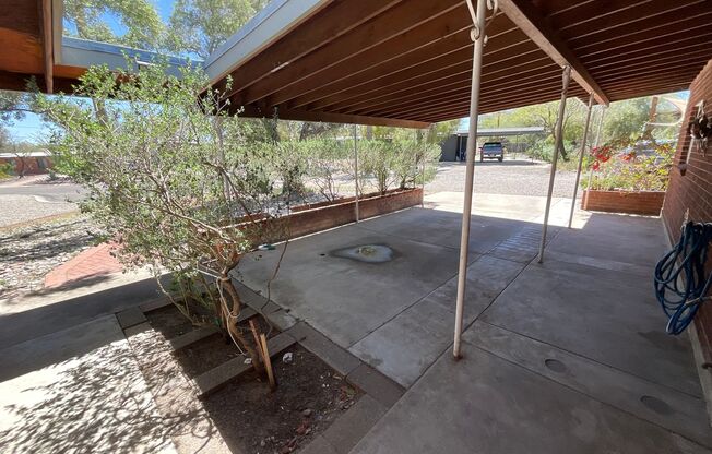 Eastside home with privacy on cul-de-sac
