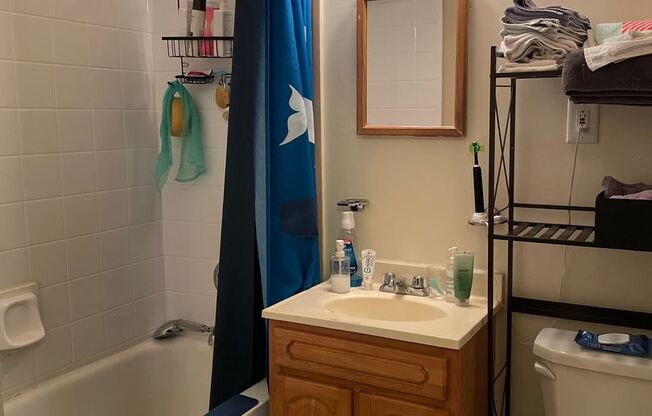 1 bed, 1 bath, 330 sqft, $1,045, Unit 305