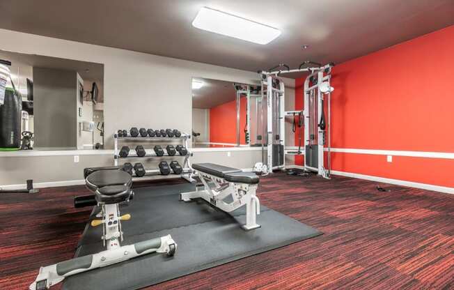 Met245 Apartments Fitness Center
